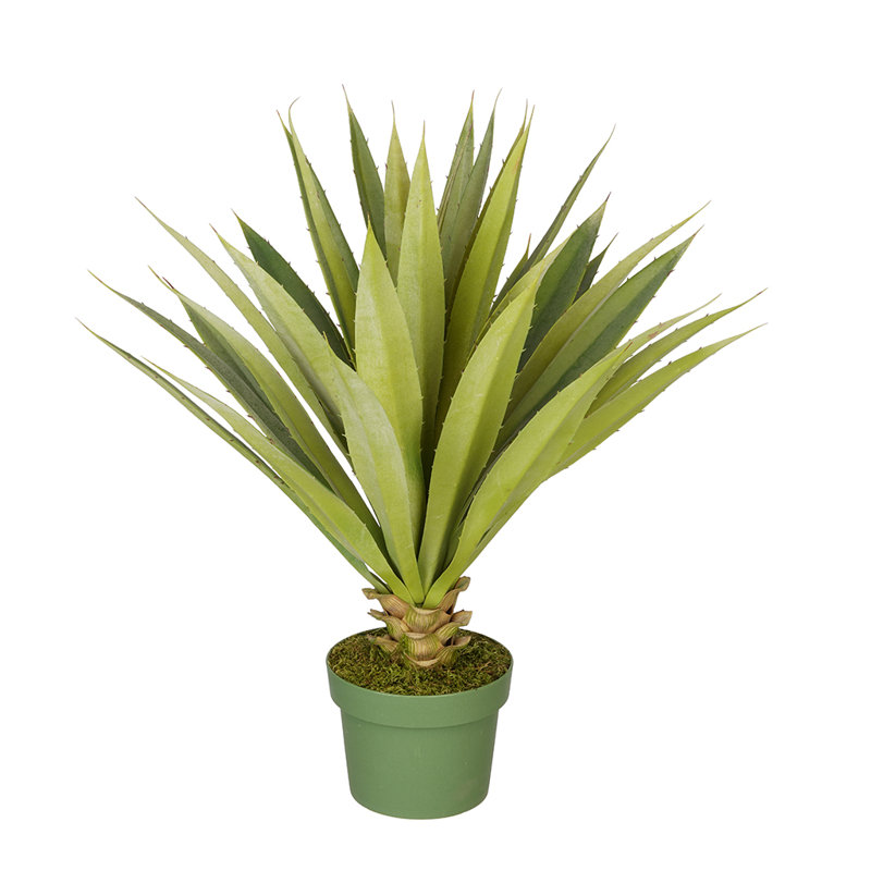 House of Silk Flowers Artificial Spike Yucca Plant & Reviews Wayfair